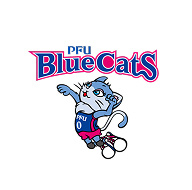 PFUブルーキャッツ 石川かほく